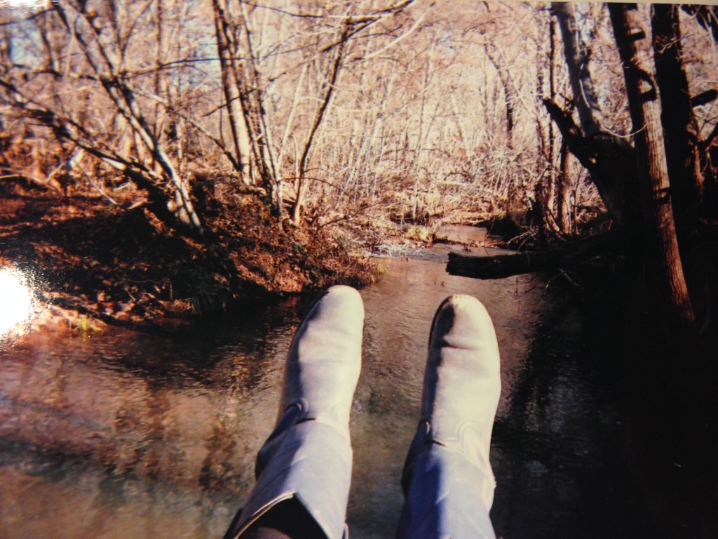 Gratitude and Clearing&nbsp;Out