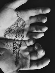 elizabeth blue, bird tattoo,