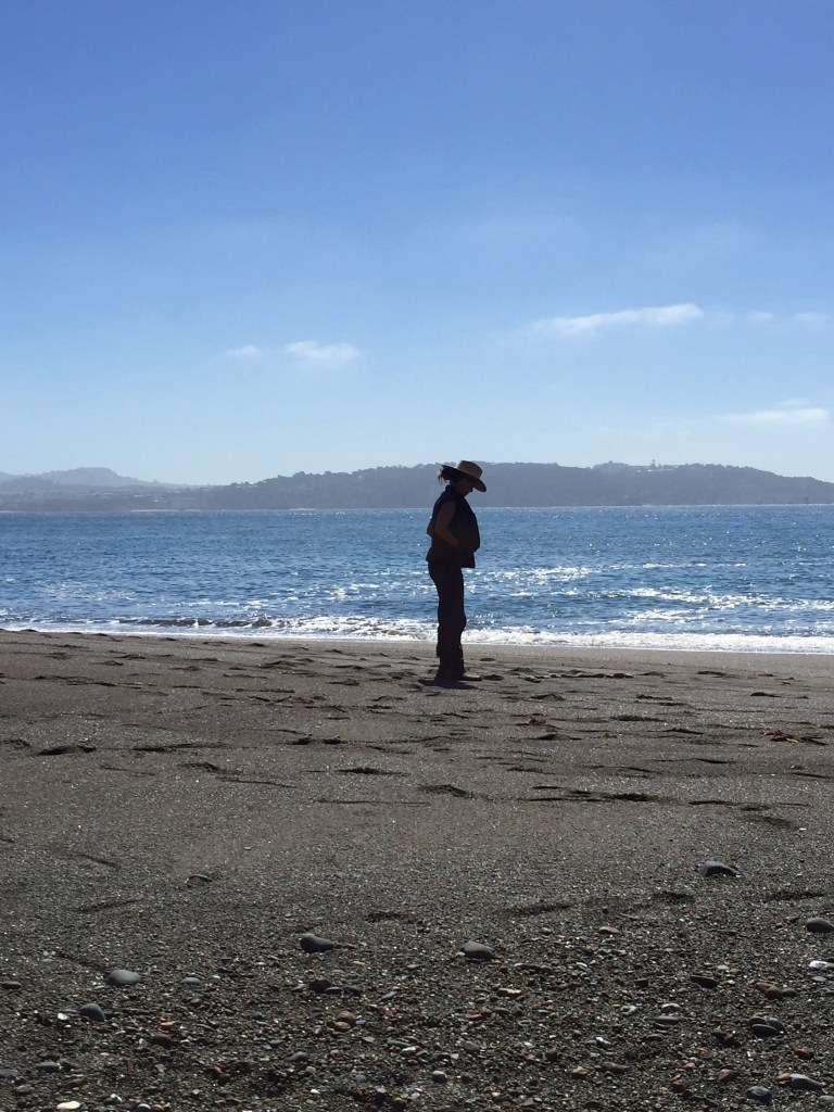 Marin Headlands, Elizabeth Blue, Lucia Maya