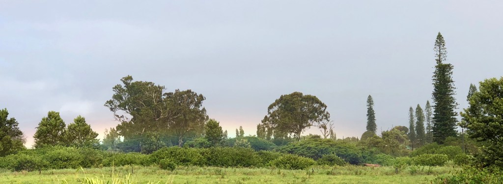 rainbow, Maui, Hawaii, Hui Noeau, 